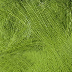 green olive