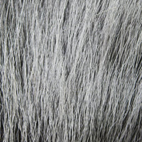 dbhd165