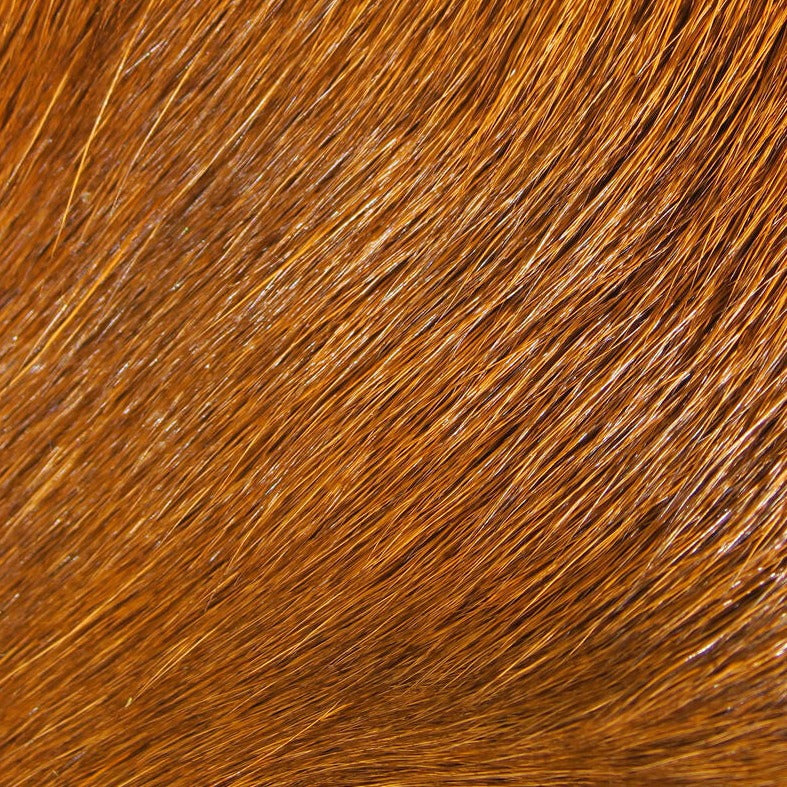 dbhd325_5f1b7377-28d1-4d0e-97b1-8682488119dd