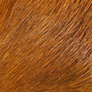 dbhd325_5f1b7377-28d1-4d0e-97b1-8682488119dd