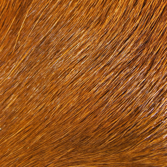 Deer Belly Hair Dyed Over White