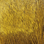 golden brown