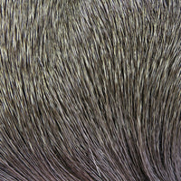 dd165_97ed5a43-e7b8-495f-af0c-0467d064a76c