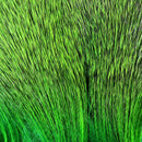 dd169_eb88c1f2-cd32-4e1e-984f-71e3dcd4eb84