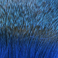 dd23_72fe3729-6a5d-47fb-97f6-a58a7d346595