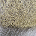 Deer Body Hair Dyed Over Natural