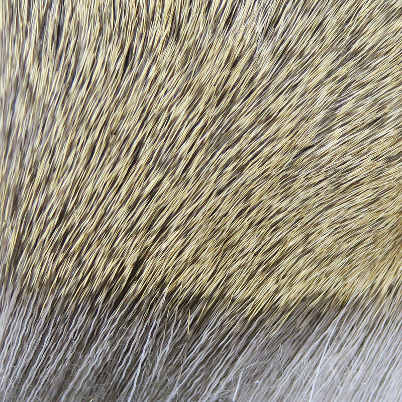 dd242_d3a24503-74ff-42e1-ab2d-8da9940a66c9