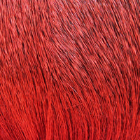 dd310_e012bde2-ed55-4bf1-97c6-b281e7bf214a