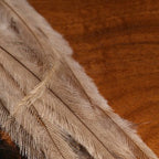 natural (tan-gray)