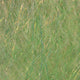 fbl10