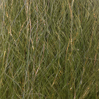 fbl22