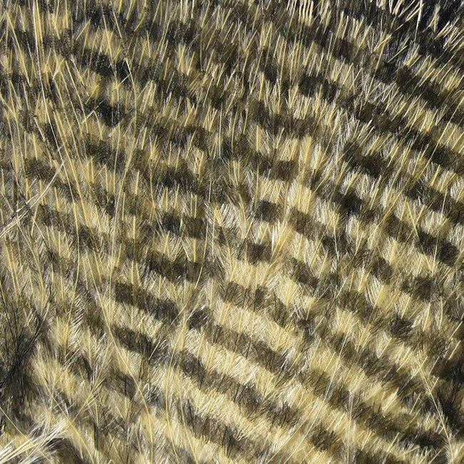 Fine Black Barred Marabou Feathers