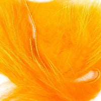 finn-raccoon-zonker_-_orange_1024x1024_65d21599-21