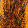 Squirrel Tail