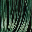 hareline-perfect-rubber-silicone-legs-avocado_1024