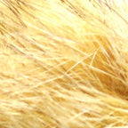 bleached