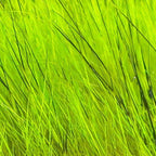caddis green