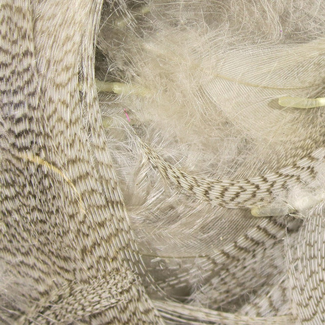 Mallard Flank Feathers