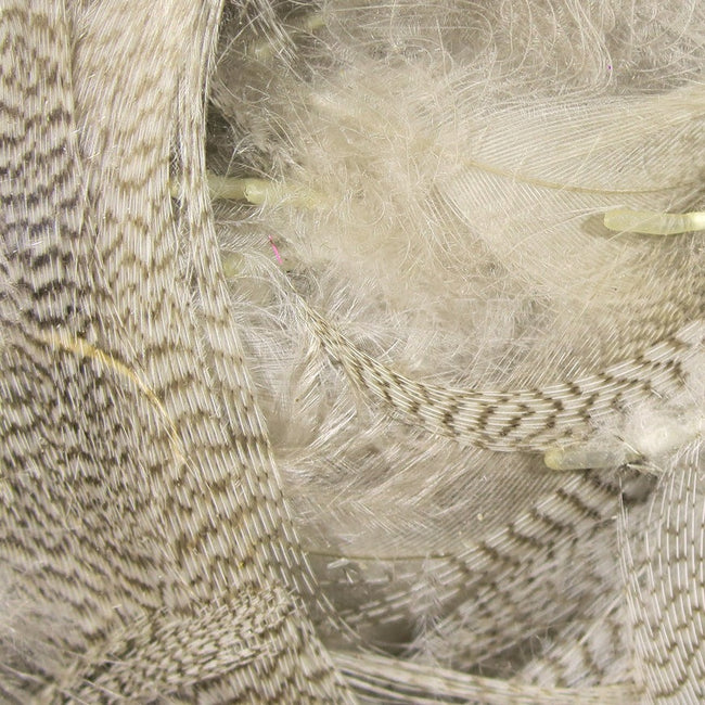 Mallard Flank Feathers by Hareline - J Stockard