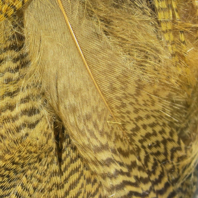 Mallard Flank Feathers