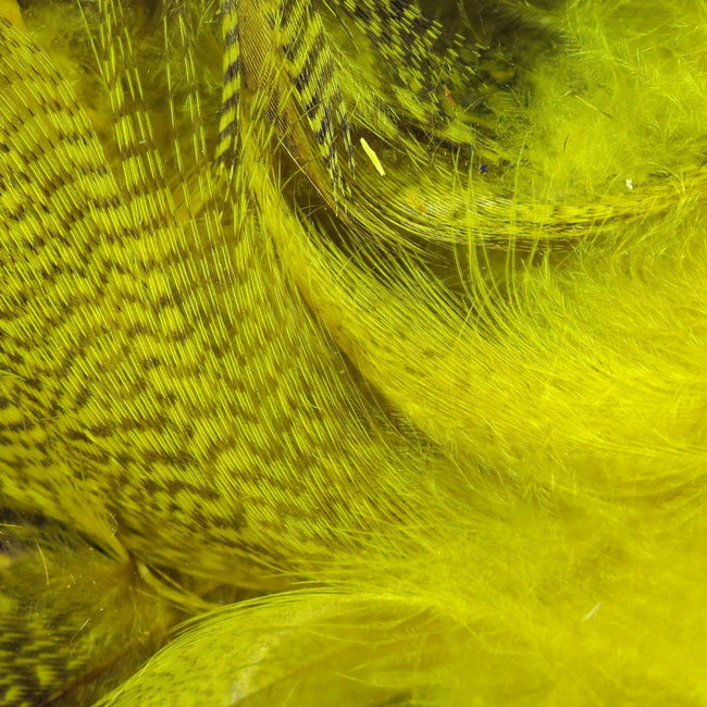 Mallard Flank Feathers