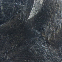 mic11