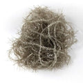 Micro Polar Chenille