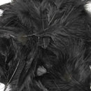 mini-marabou_-_black_1024x1024_56b725ae-db72-4552-