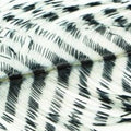 Barred Ostrich Plume