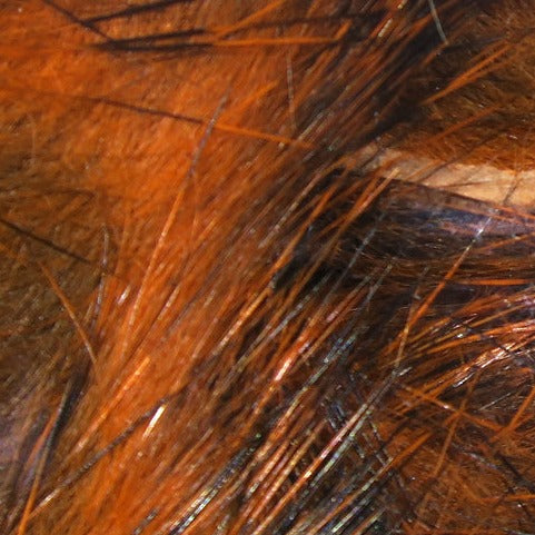 Micro Pulsator Strips