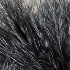 black raven
