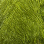 medium olive