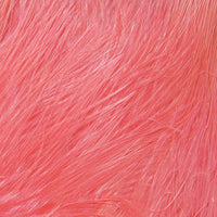 msmv097