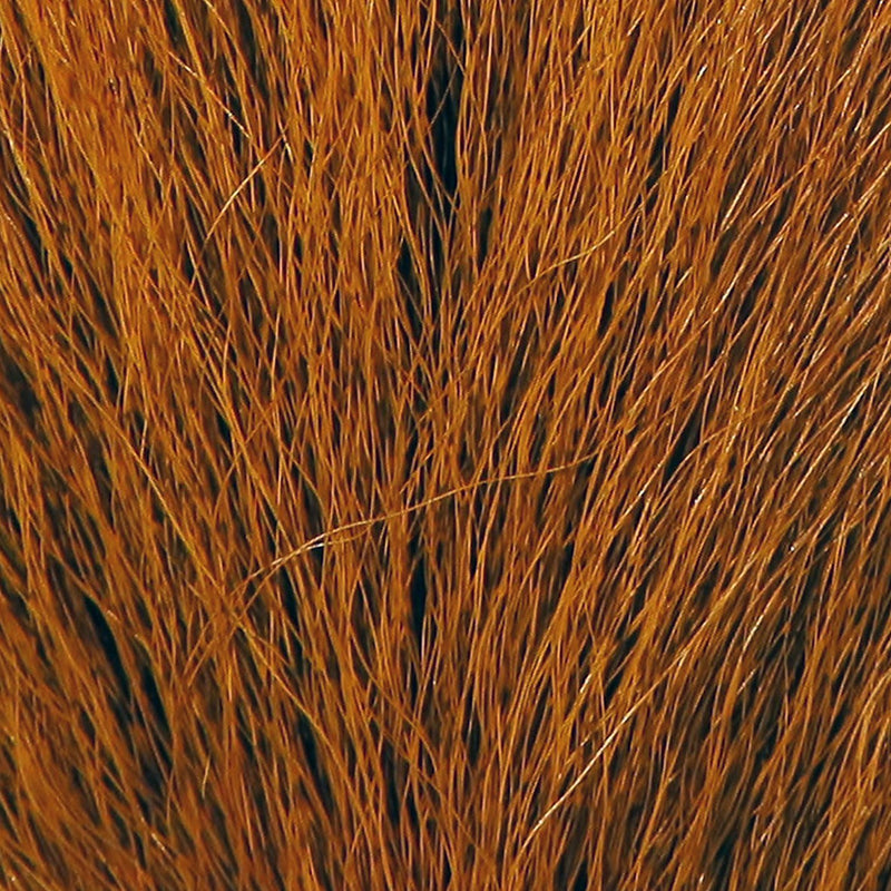 nb325