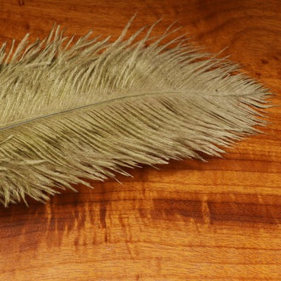 10 Pieces - 18-24\" Cream Large Prime Grade Ostrich Wing Plume Centerpiece Feathers