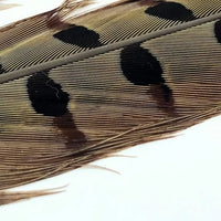 pheasanttail-natural_1_1200x900_ac5c18b5-4b2e-48dd