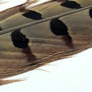 pheasanttail-natural_1_1200x900_ac5c18b5-4b2e-48dd