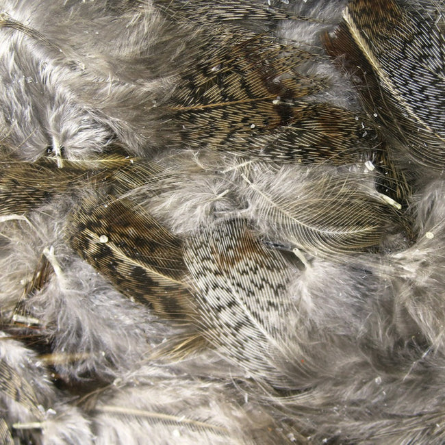 Premium Hungarian Partridge Feathers