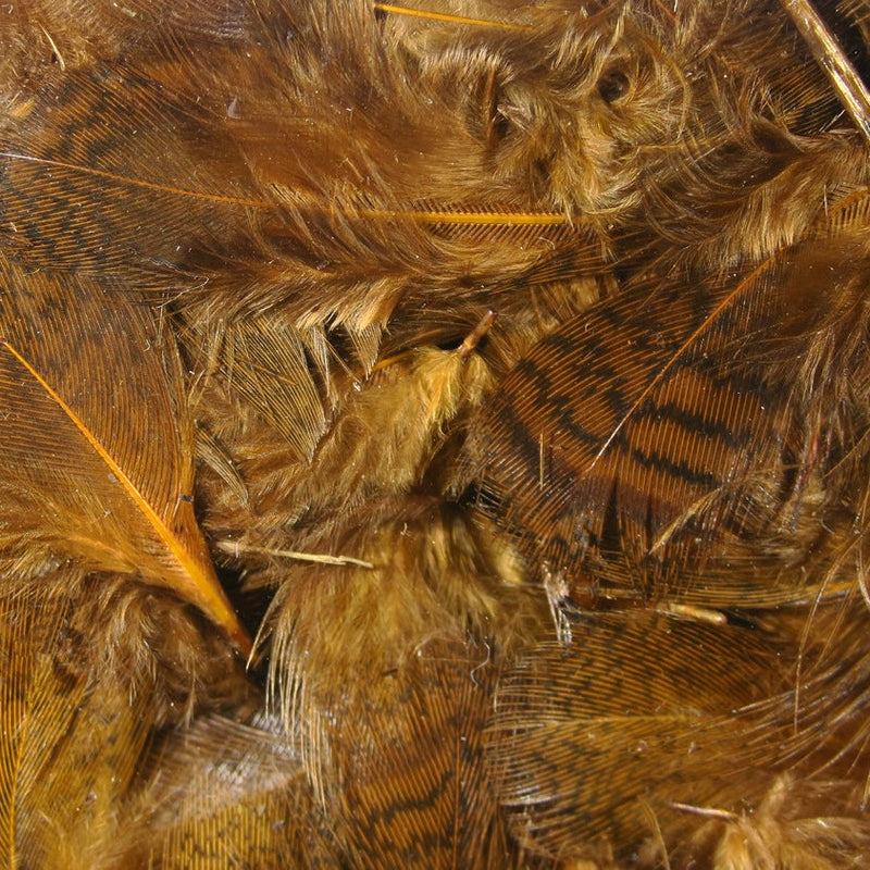 Premium Hungarian Partridge Feathers - Hareline | J Stockard