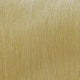 plf023