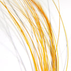 sulphur orange