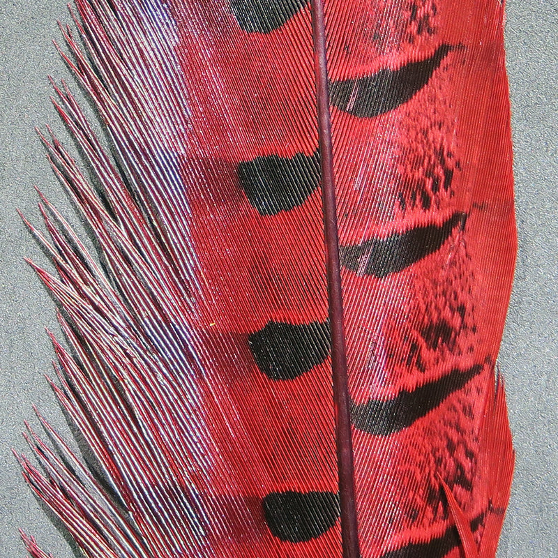 rpcp310