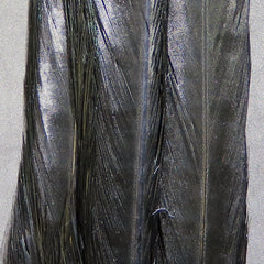 rpct11