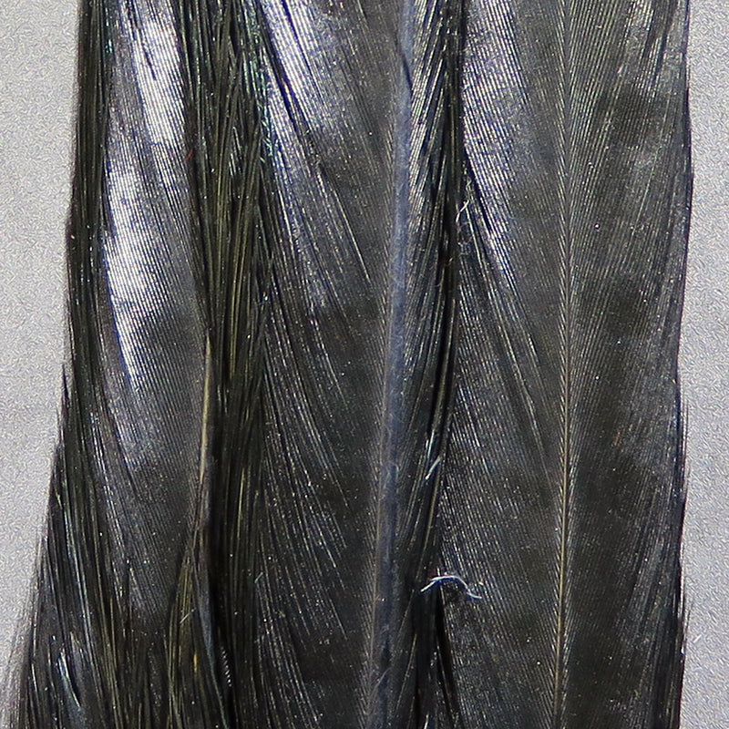 rpct11