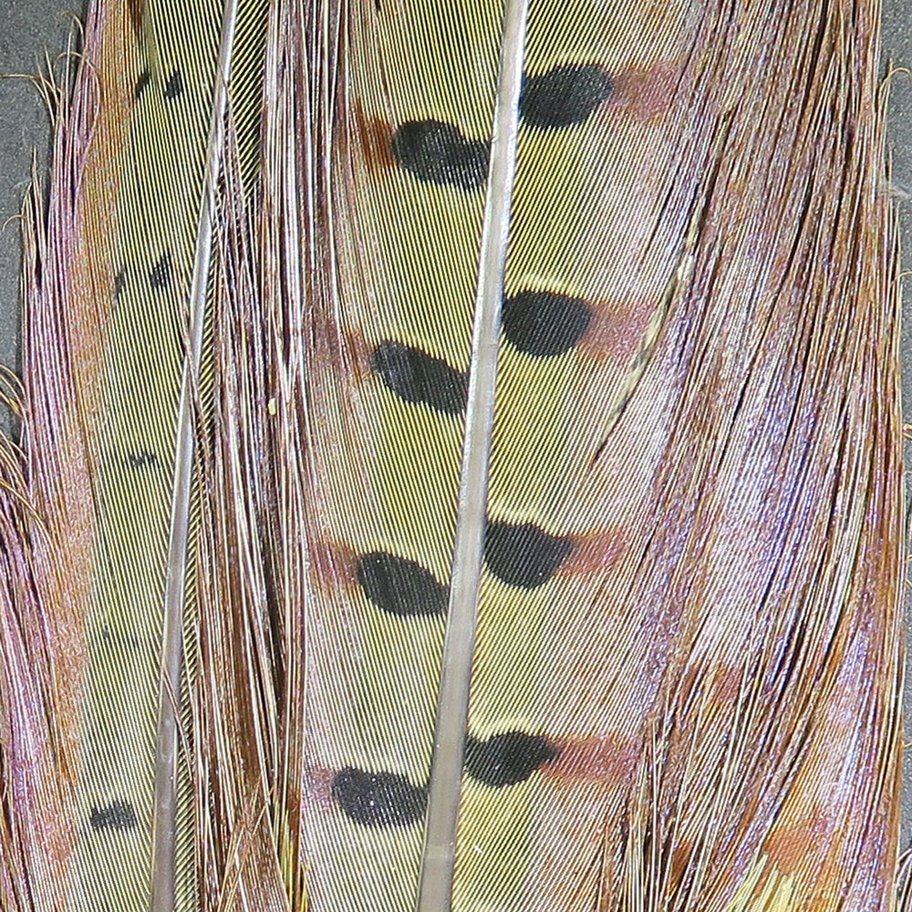 rpcta