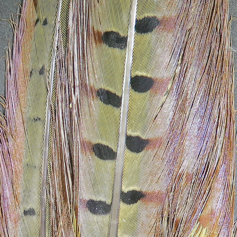 rpcta