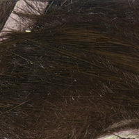 rs13