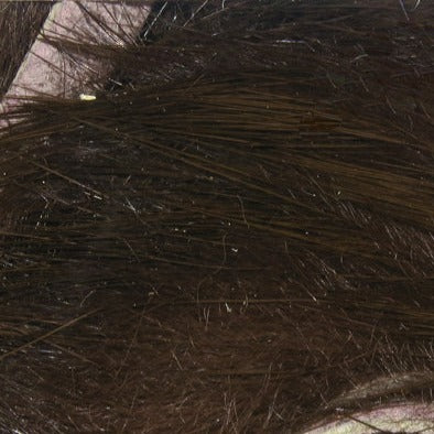 rs13