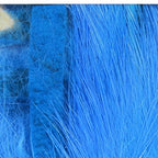 fl. lt. blue