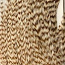 s-l500_002debd6-1322-43e6-9701-c2f0862e0eba